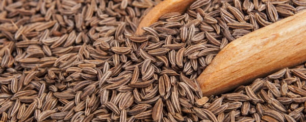 تصویر 5 از قیمت خرید زیره سیاه اصل با فروش عمده